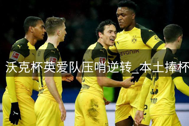 沃克杯英爱队压哨逆转 本土捧杯双星闪耀